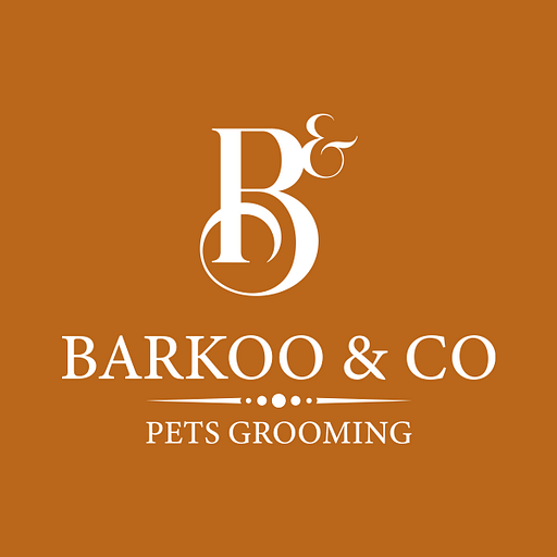 Barkoo & Co