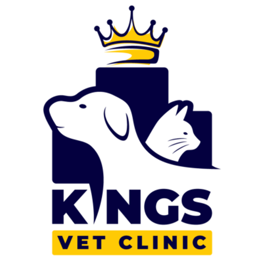 Kings Vet Clinic Al-Barari