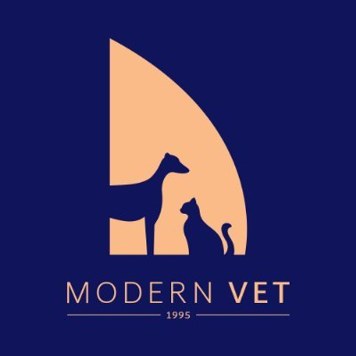 Modern Vet Downtown