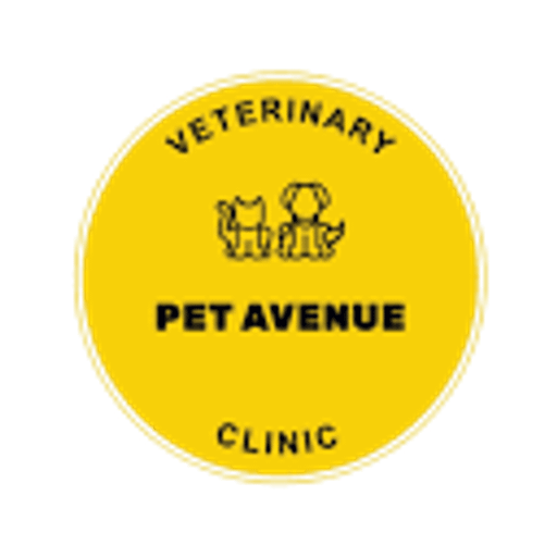 PET AVENUE CLINIC