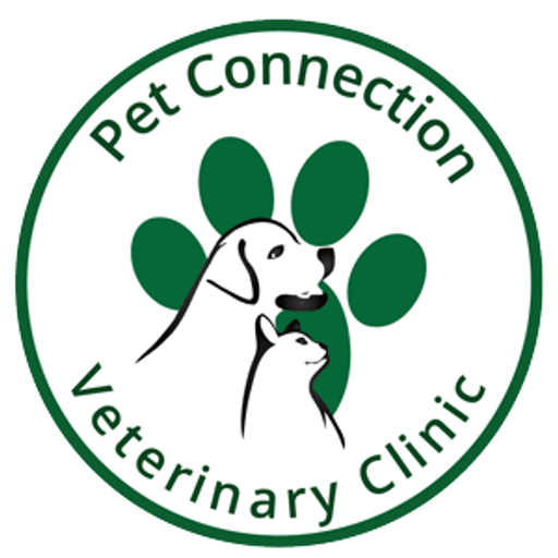 Pet Connection Veterinary Clinic Dubai Al Barsha 1