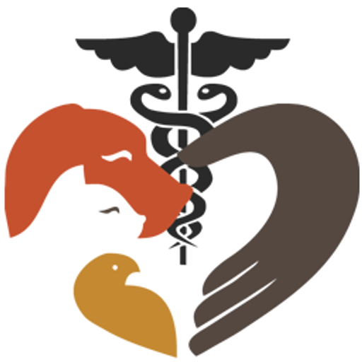 The City Vet Clinic - Al Barsha Mall