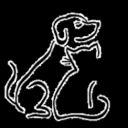 Mercy Veterinary Clinic عيادة ميرسي البيطرية