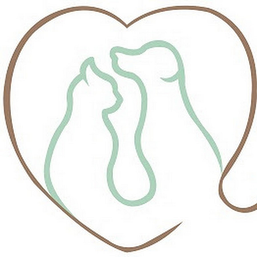 Amore veterinary Clinic