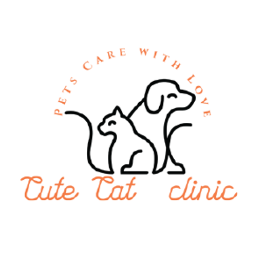 Cute Cat Veterinary Clinic - Dubai