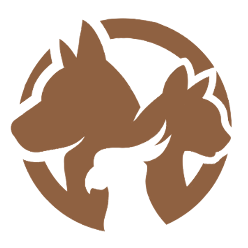 Pet Shop Furry Babies Dogs & Puppies For Sale In Dubai