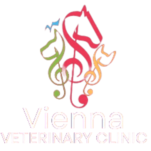 Vienna Vet