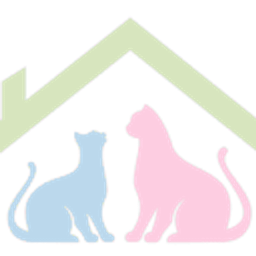 Your Home Vet Clinic